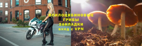 бошки Красноперекопск